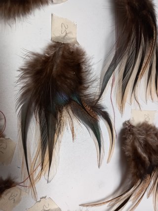 Pluma de pesca