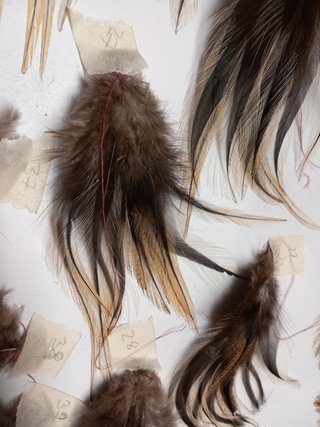 Pluma de pesca