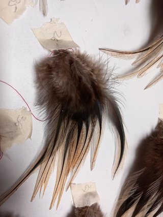 Pluma de pesca