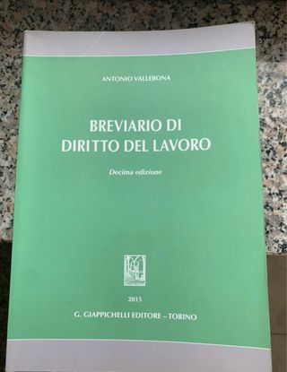 Breviario di diritto del lavoro nuovo