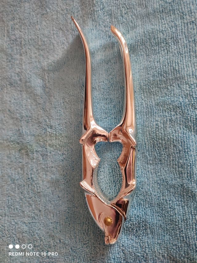 Schiaccianoci Olimpic a forma di pesce