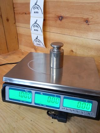 Balanza EPELSA 56PPI