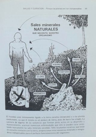 Guia de medicina natural libros