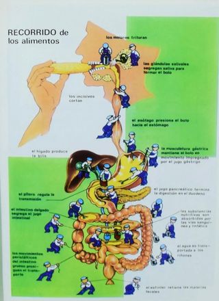 Guia de medicina natural libros
