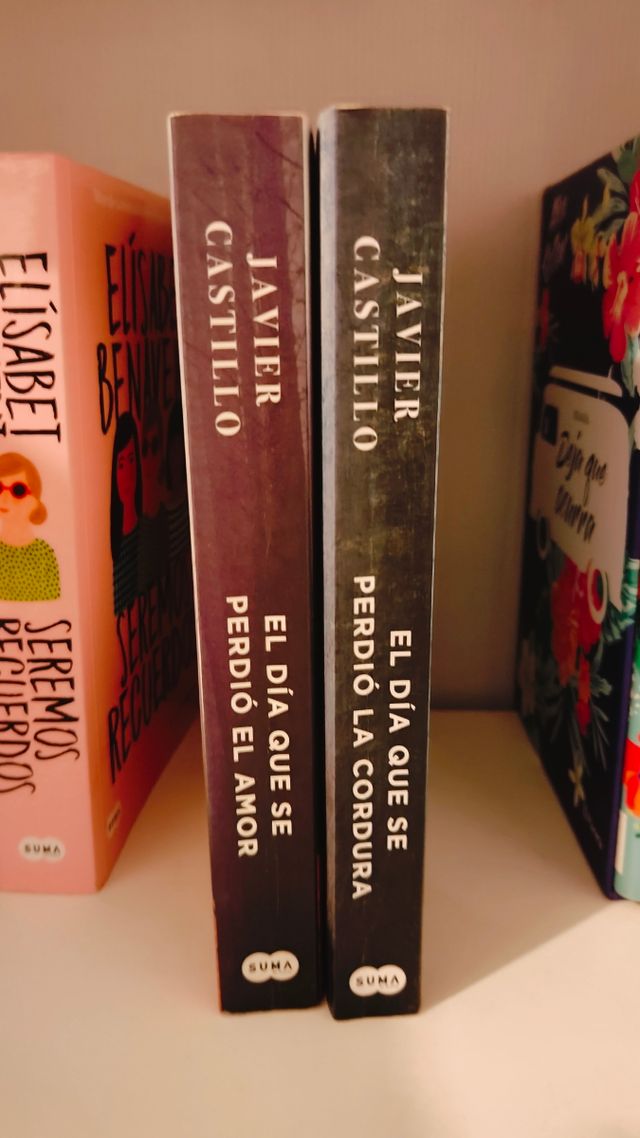 "El día que se perdió: la cordura y el amor"