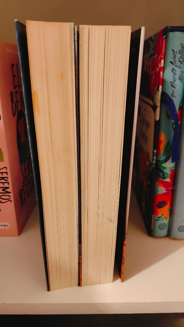 "El día que se perdió: la cordura y el amor"