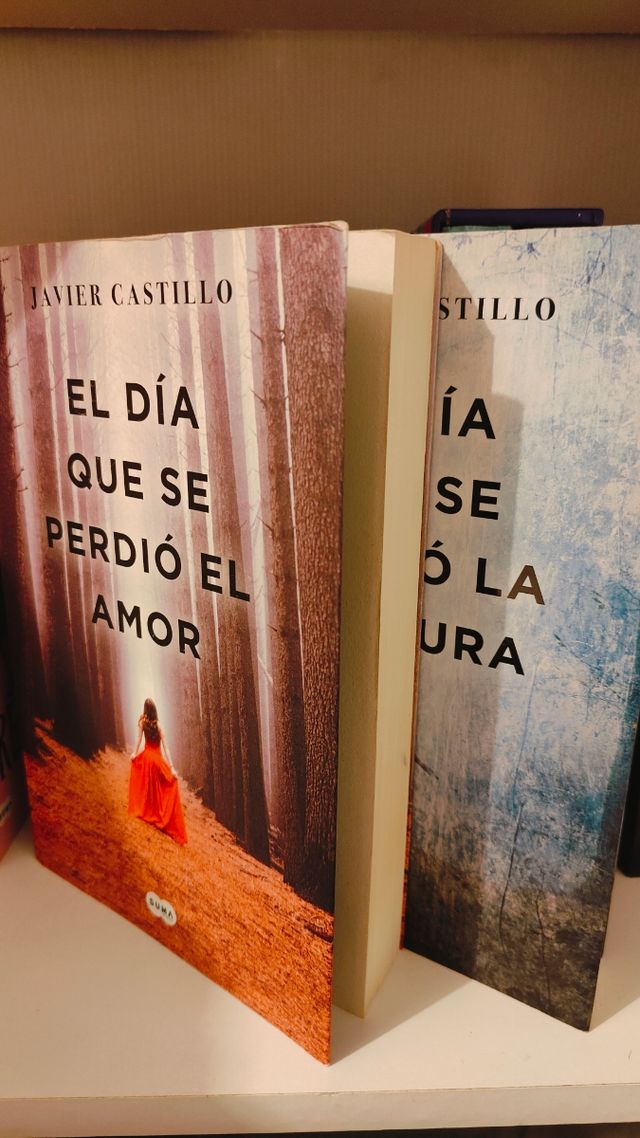 "El día que se perdió: la cordura y el amor"