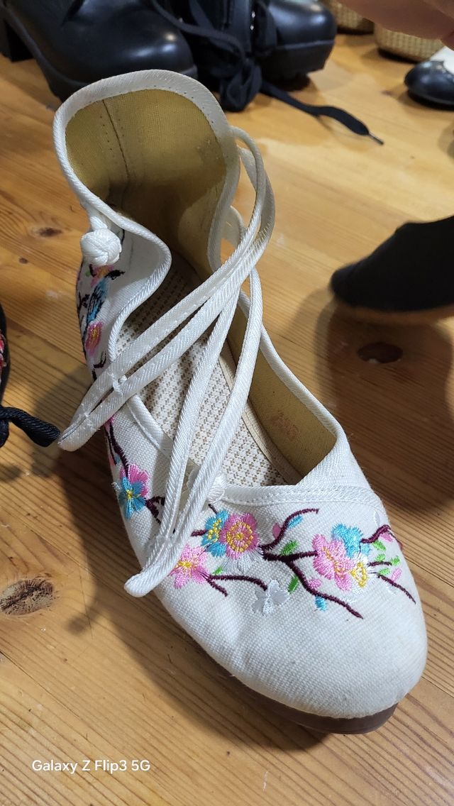 Zapatos bordados estilo oriental