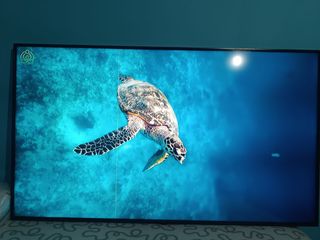 TV LG 55" - Negro