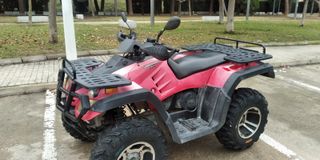 QUAD MX BIGGER 300