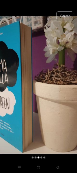 "Bajo la misma estrella"