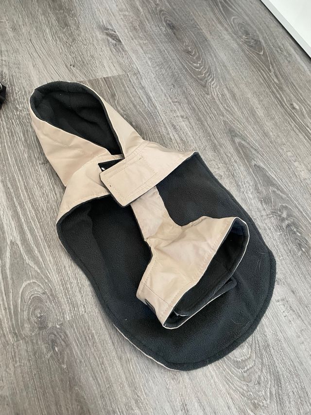 Pack accesorios perro