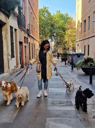 Cuidadora de perros en Barcelona!