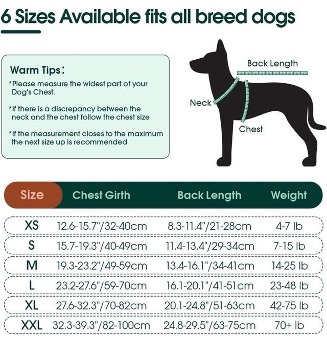 Tuta cani gatti Recupero post operazione taglia L