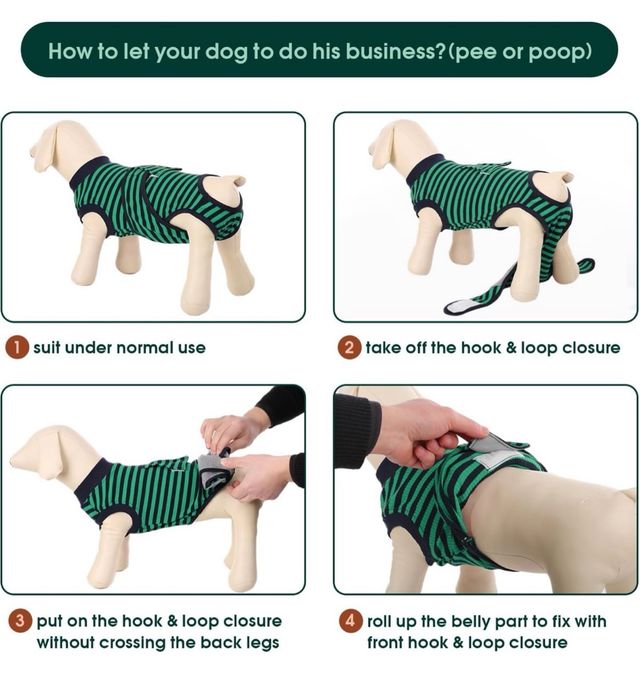 Tuta cani gatti Recupero post operazione taglia L