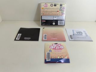 BIG BRAIN ACADEMY NINTENDO DS 
