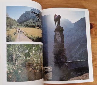 POR LOS PICOS DE EUROPA, Vicente Ena Álvarez. 1995