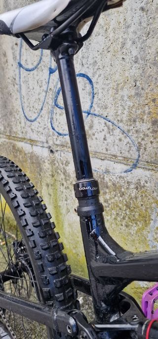bicicleta cannondale 29 