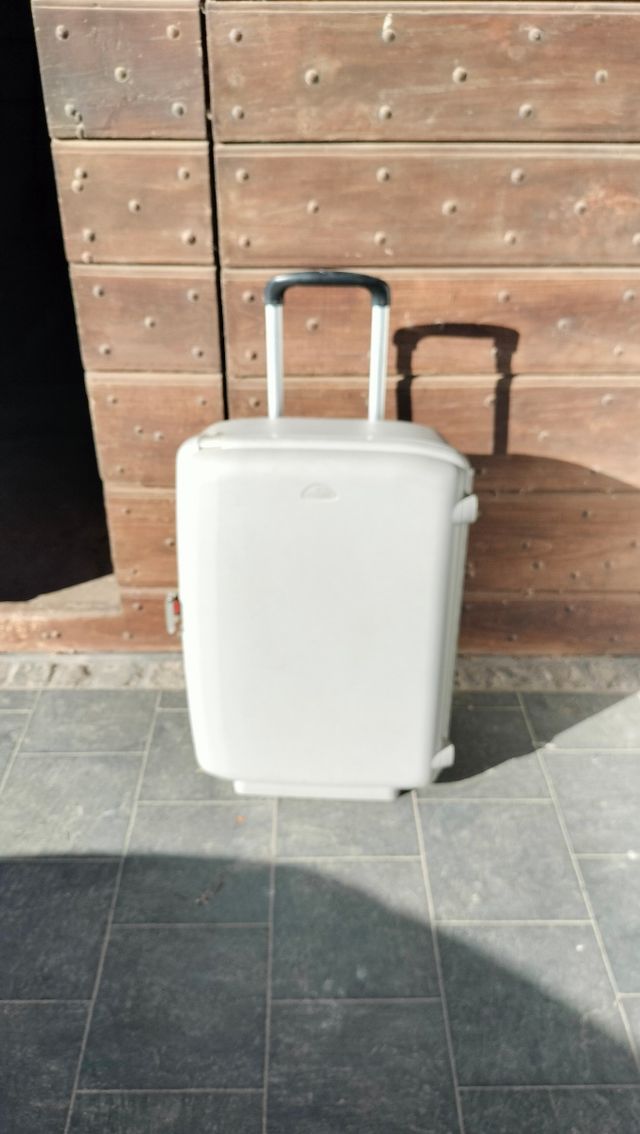 Trolley Samsonite grigio - grande