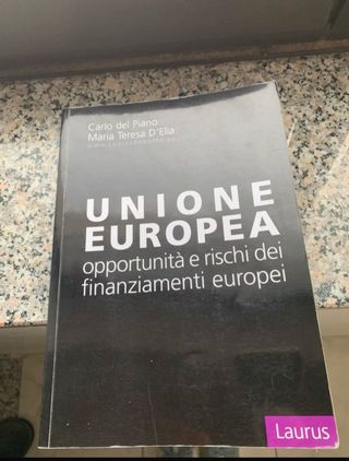 UNIONE EUROPEA opportunità e rischi dei finanziamenti europei