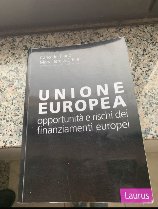 UNIONE EUROPEA opportunità e rischi dei finanziamenti europei