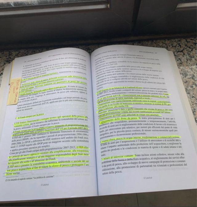 UNIONE EUROPEA opportunità e rischi dei finanziamenti europei