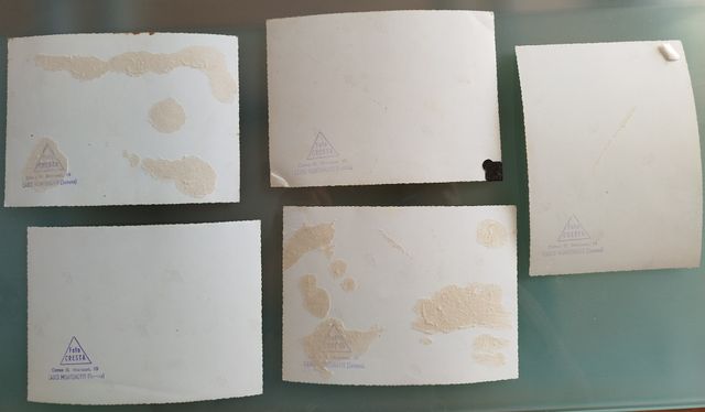 5 fotografie anni 60 originali B/N