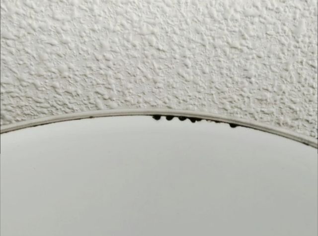 Cacerolas vintage (2) - Blanco y Verde