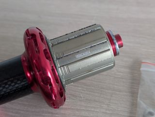 Buje trasero + radios 24H
