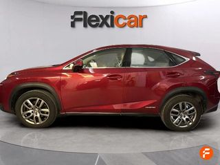 Lexus NX 2.5 300h Corporate 2WD