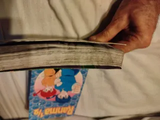 Ranma 1/2 2 (Spanish Edition)