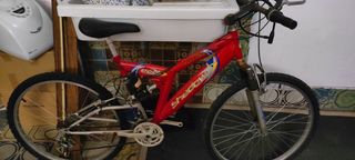 Bicicletta Mountain bike 