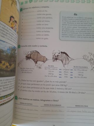 Vacaciones Santillana  4° primaria ,  actividades