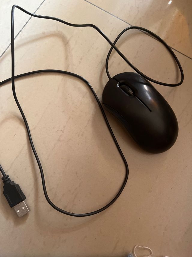 Ratón óptico Omega - Negro