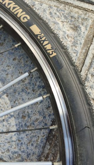 Bicicleta Orbea MX 24 