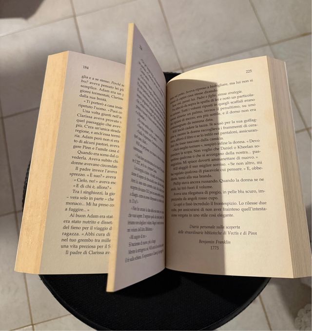 I custodi della biblioteca (Italian Edition)