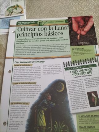 58 fichas de jardinería y calendario del hortelano