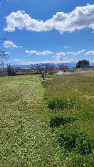 Jardinero