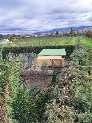 Jardinero