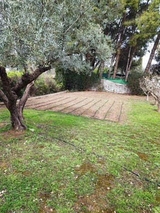 Jardinero