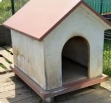 Caseta hormigón perro mediano/grande