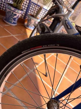 Bicicleta de niños 20 pulgadas
