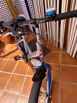 Bicicleta de niños 20 pulgadas