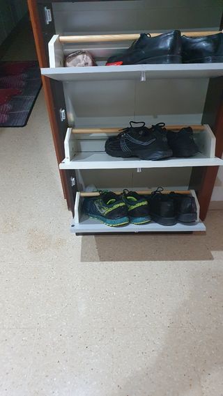 Dos muebles zapateros