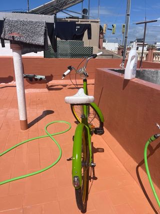 Bicicleta Townie verde