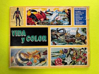 Album VIDA Y COLOR - completo - años 90