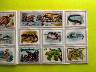 Album VIDA Y COLOR - completo - años 90