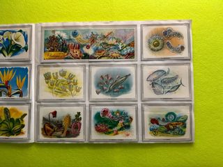 Album VIDA Y COLOR - completo - años 90