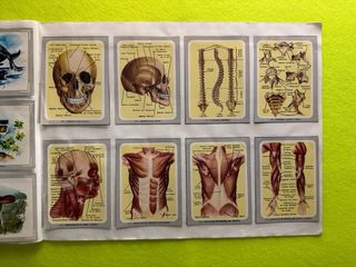 Album VIDA Y COLOR - completo - años 90