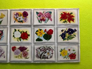 Album VIDA Y COLOR - completo - años 90